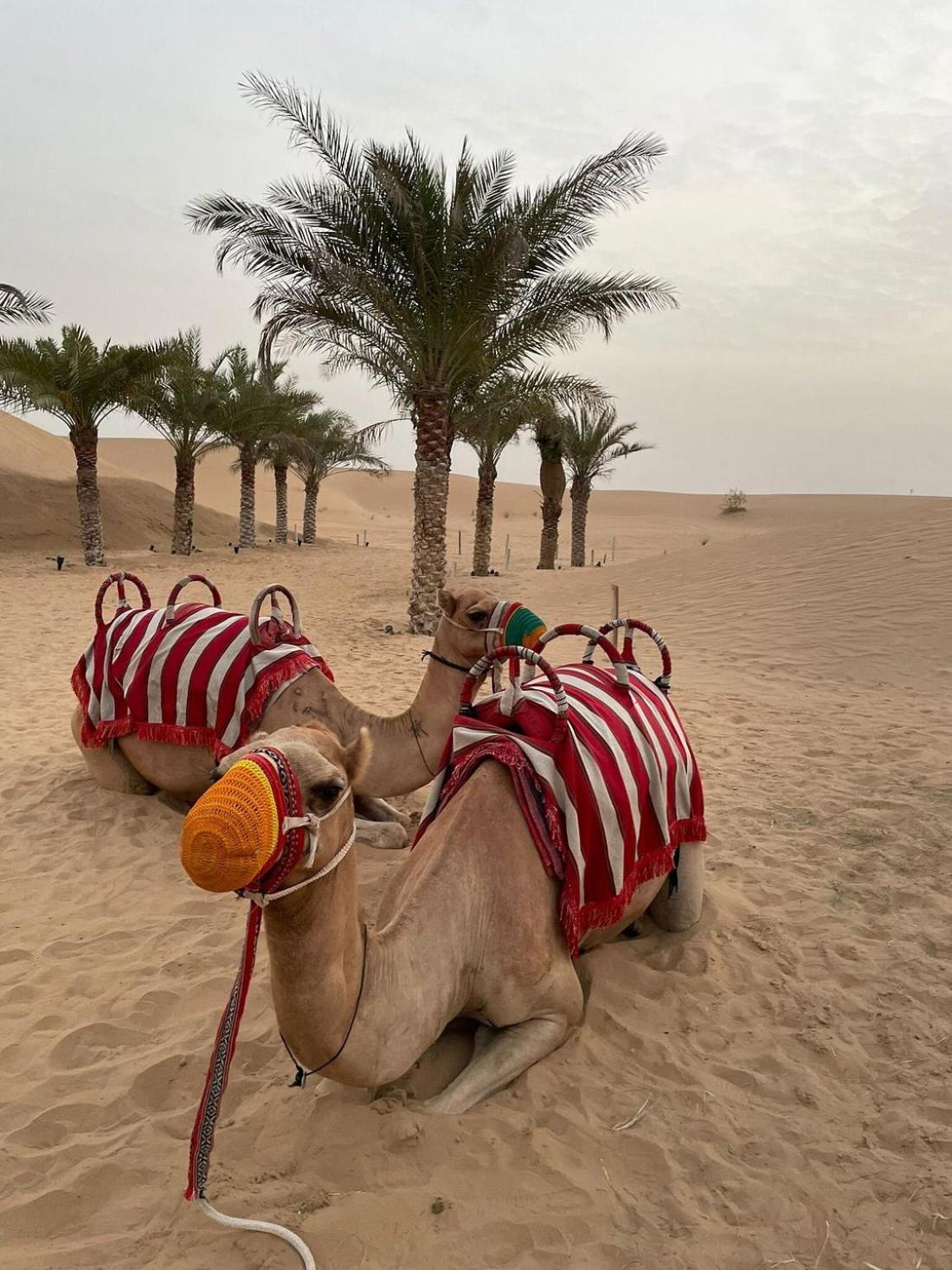Отель Al Khayma Camp "Elite Glamping & Dining In Experience" Hunaywah Экстерьер фото